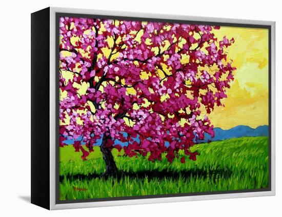 Pink Blossom Tree and Yellow Sky-Patty Baker-Framed Stretched Canvas