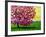 Pink Blossom Tree and Yellow Sky-Patty Baker-Framed Art Print