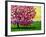 Pink Blossom Tree and Yellow Sky-Patty Baker-Framed Art Print