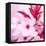 Pink Blossom-null-Framed Premier Image Canvas