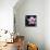 Pink Blossom-null-Mounted Photographic Print displayed on a wall