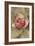 Pink Blossom-Cheri Blum-Framed Art Print