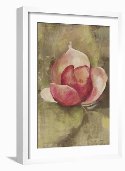 Pink Blossom-Cheri Blum-Framed Art Print