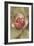 Pink Blossom-Cheri Blum-Framed Art Print