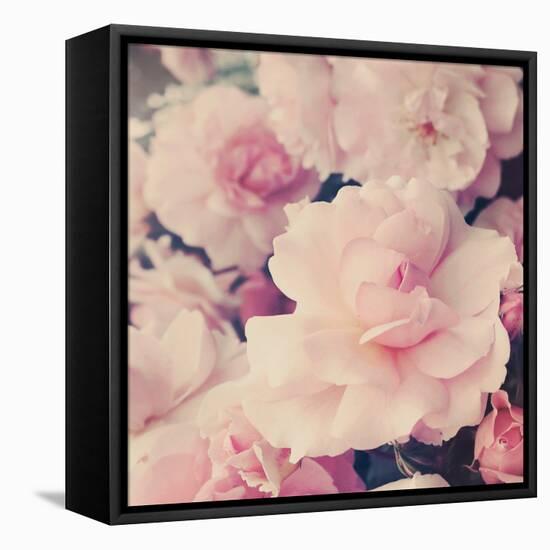 Pink Blossoms I-Sarah Gardner-Framed Stretched Canvas