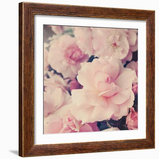 Pink Blossoms I-Sarah Gardner-Framed Photo