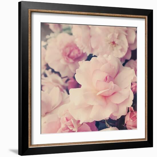 Pink Blossoms I-Sarah Gardner-Framed Photo