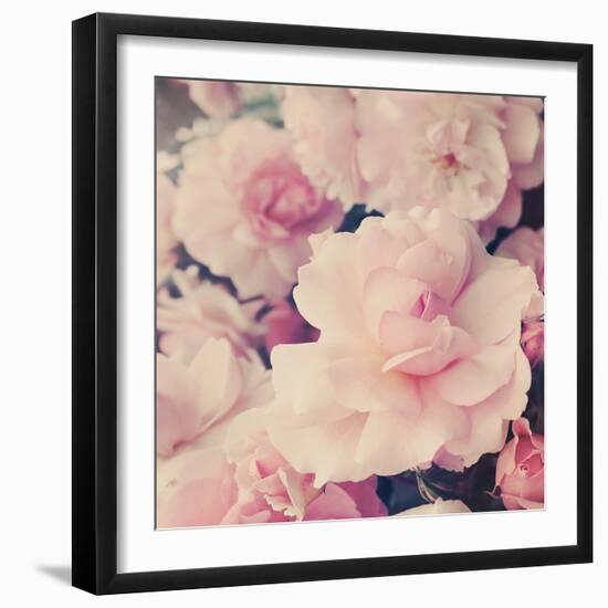 Pink Blossoms I-Sarah Gardner-Framed Photo