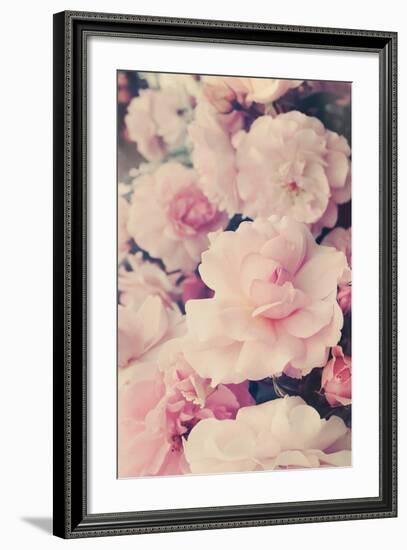 Pink Blossoms I-Sarah Gardner-Framed Photo