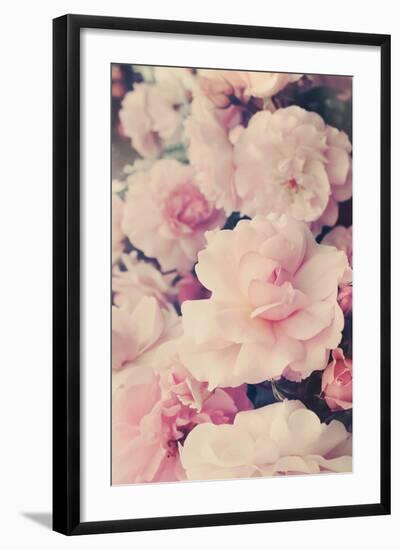 Pink Blossoms I-Sarah Gardner-Framed Photo