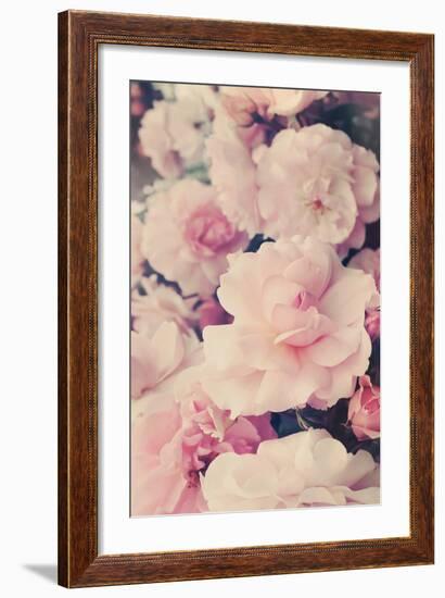 Pink Blossoms I-Sarah Gardner-Framed Photo