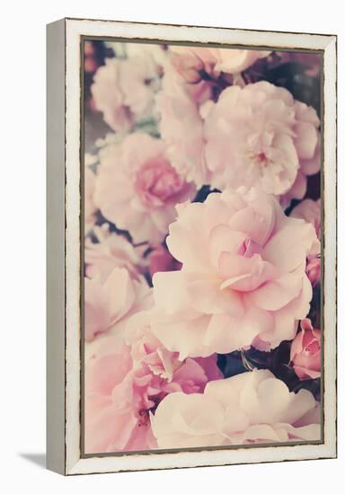 Pink Blossoms I-Sarah Gardner-Framed Stretched Canvas