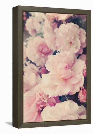 Pink Blossoms I-Sarah Gardner-Framed Stretched Canvas