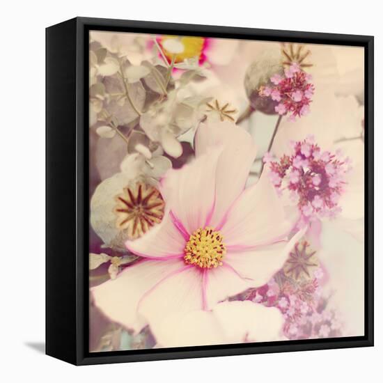 Pink Blossoms II-Sarah Gardner-Framed Stretched Canvas