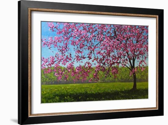 Pink Blossoms IX-Patty Baker-Framed Art Print