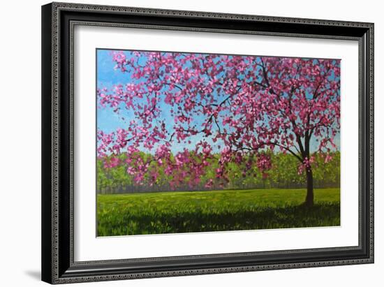 Pink Blossoms IX-Patty Baker-Framed Art Print