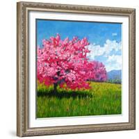Pink Blossoms on a Hillside-Patty Baker-Framed Art Print