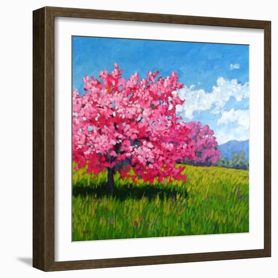 Pink Blossoms on a Hillside-Patty Baker-Framed Art Print