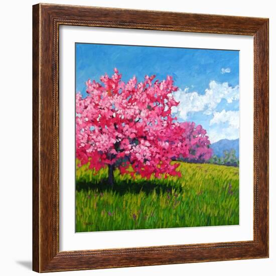 Pink Blossoms on a Hillside-Patty Baker-Framed Art Print