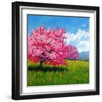 Pink Blossoms on a Hillside-Patty Baker-Framed Art Print