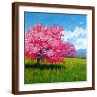 Pink Blossoms on a Hillside-Patty Baker-Framed Art Print