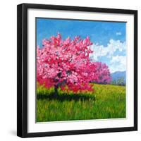 Pink Blossoms on a Hillside-Patty Baker-Framed Art Print