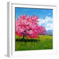 Pink Blossoms on a Hillside-Patty Baker-Framed Art Print