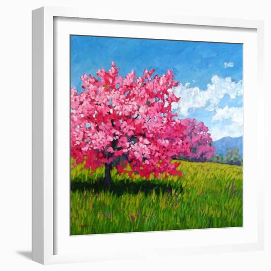 Pink Blossoms on a Hillside-Patty Baker-Framed Art Print