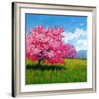 Pink Blossoms on a Hillside-Patty Baker-Framed Art Print