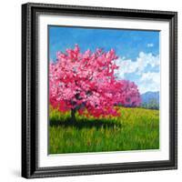 Pink Blossoms on a Hillside-Patty Baker-Framed Art Print