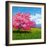Pink Blossoms on a Hillside-Patty Baker-Framed Art Print