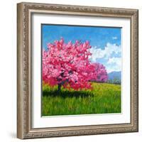 Pink Blossoms on a Hillside-Patty Baker-Framed Art Print