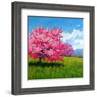 Pink Blossoms on a Hillside-Patty Baker-Framed Art Print