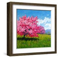 Pink Blossoms on a Hillside-Patty Baker-Framed Art Print