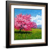 Pink Blossoms on a Hillside-Patty Baker-Framed Art Print