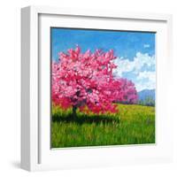 Pink Blossoms on a Hillside-Patty Baker-Framed Art Print