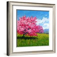 Pink Blossoms on a Hillside-Patty Baker-Framed Art Print