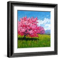 Pink Blossoms on a Hillside-Patty Baker-Framed Art Print
