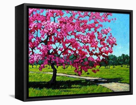 Pink Blossoms on a Summer Day-Patty Baker-Framed Stretched Canvas