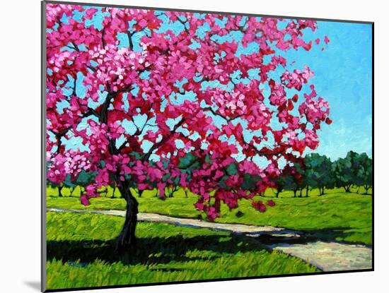 Pink Blossoms on a Summer Day-Patty Baker-Mounted Art Print