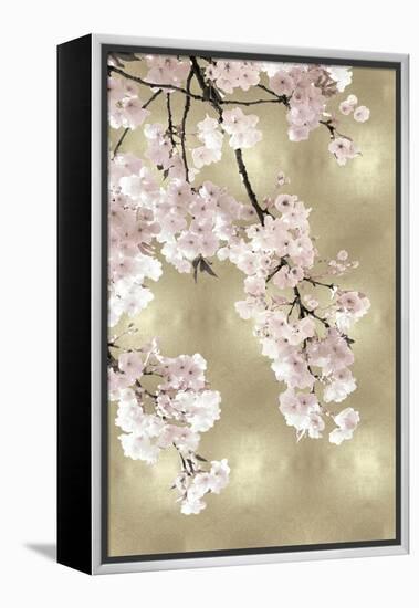 Pink Blossoms on Gold I-Kate Bennett-Framed Stretched Canvas