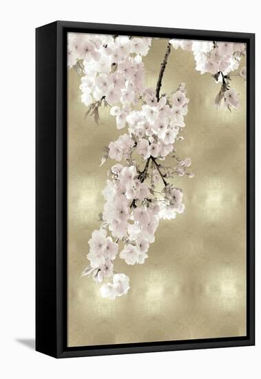 Pink Blossoms on Gold II-Kate Bennett-Framed Stretched Canvas