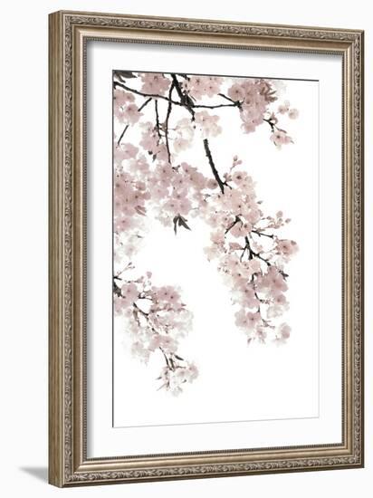 Pink Blossoms on White I-Kate Bennett-Framed Art Print