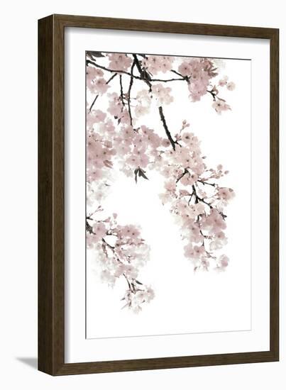 Pink Blossoms on White I-Kate Bennett-Framed Art Print