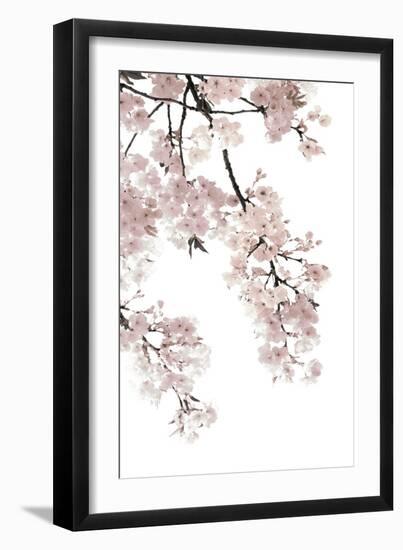 Pink Blossoms on White I-Kate Bennett-Framed Art Print