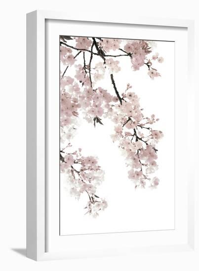 Pink Blossoms on White I-Kate Bennett-Framed Art Print