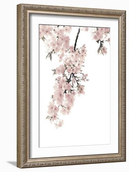 Pink Blossoms on White II-Kate Bennett-Framed Art Print