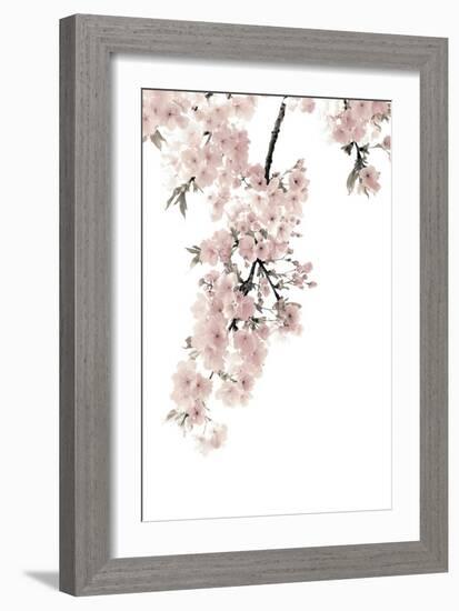 Pink Blossoms on White II-Kate Bennett-Framed Art Print