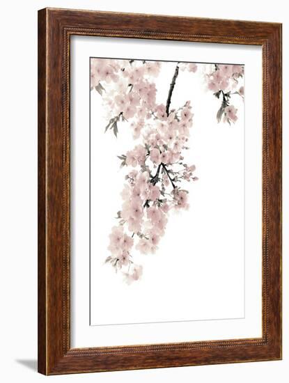 Pink Blossoms on White II-Kate Bennett-Framed Art Print