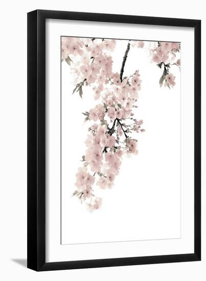 Pink Blossoms on White II-Kate Bennett-Framed Art Print